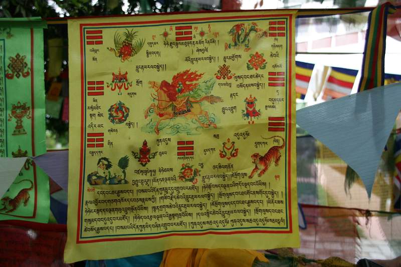 India & Nepal 2011 - 0661